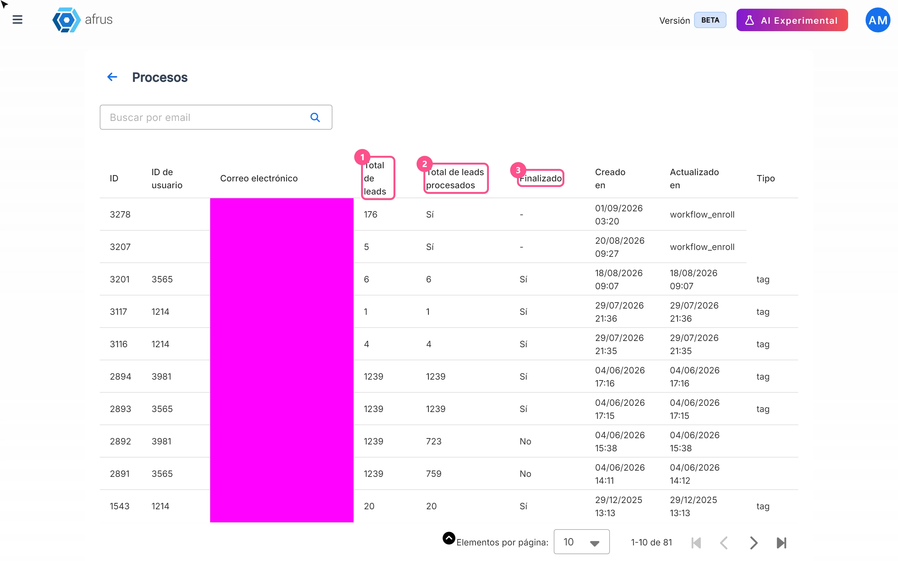Total de leads, Total de leads procesados and Finalizado columns of the process table