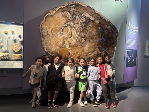 Students posing in front of large fossil cross-section at museum