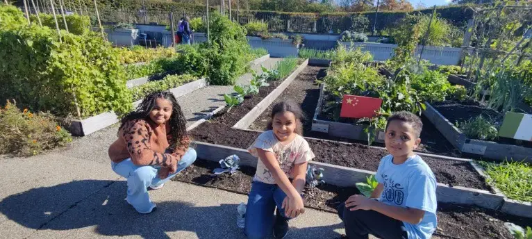 Three students smiling beside raised garden beds outdoors