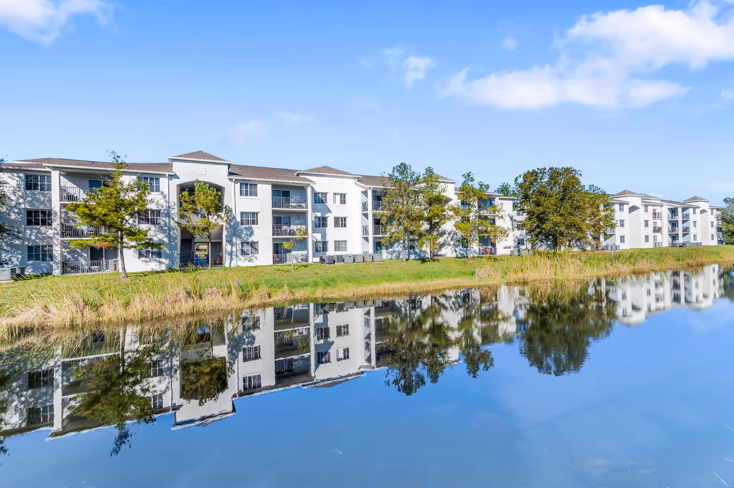 Lake outside of apartment complex
