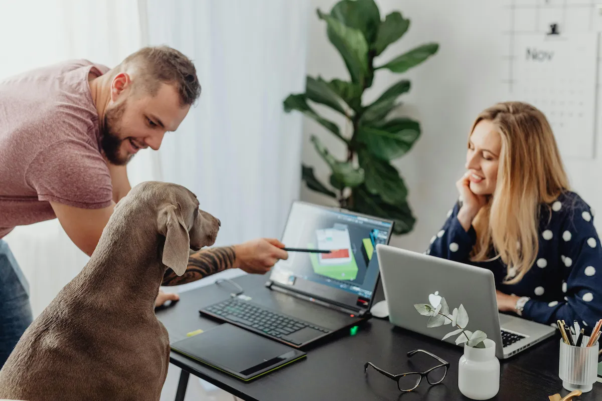 Dog interrupts owners working on laptops at home-pet technology and modern pet ownership
