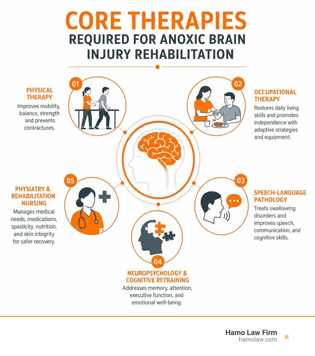 Core therapies required for anoxic brain injury rehabilitation infographic