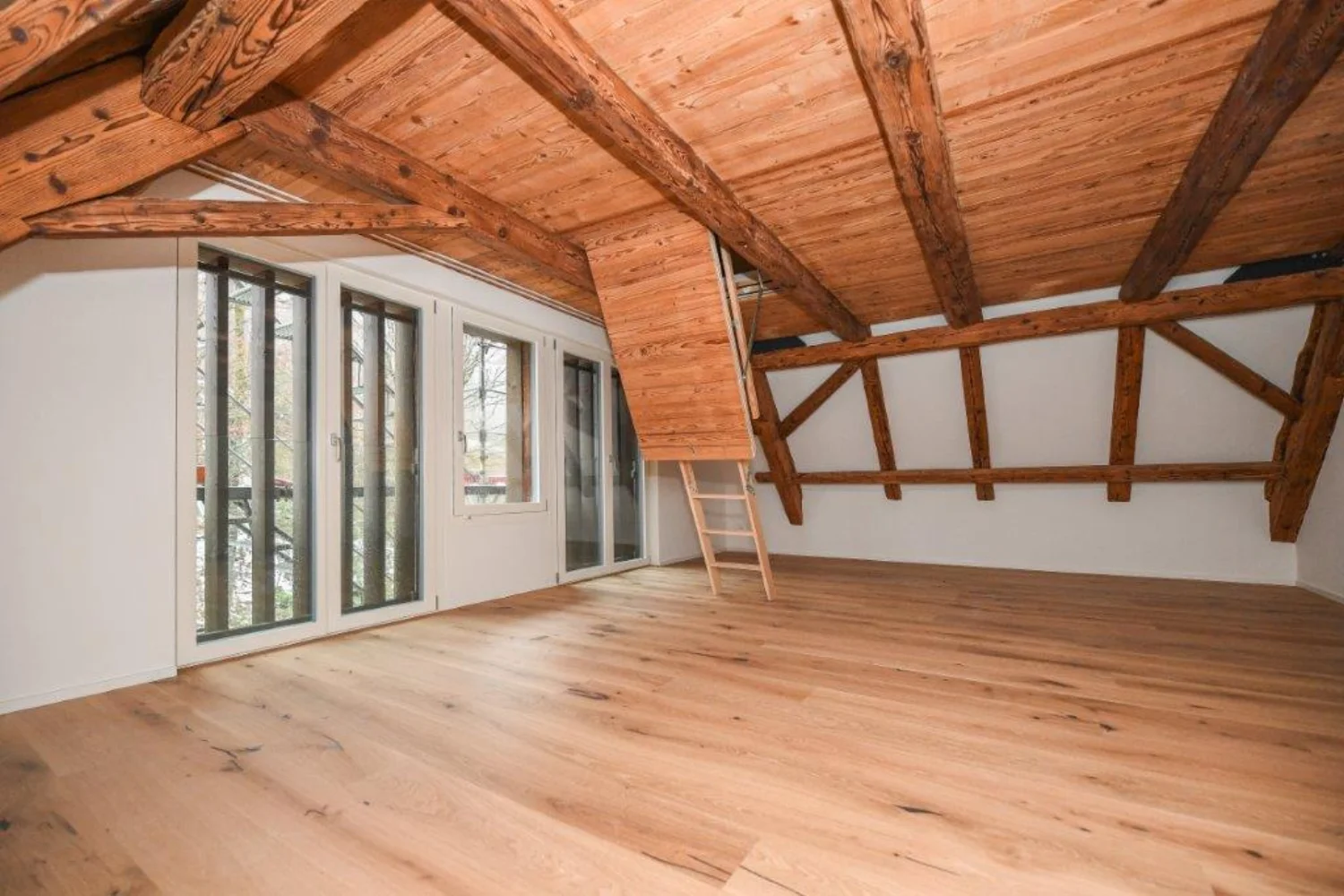 Denkmalgeschütztes MFH alte Mühle