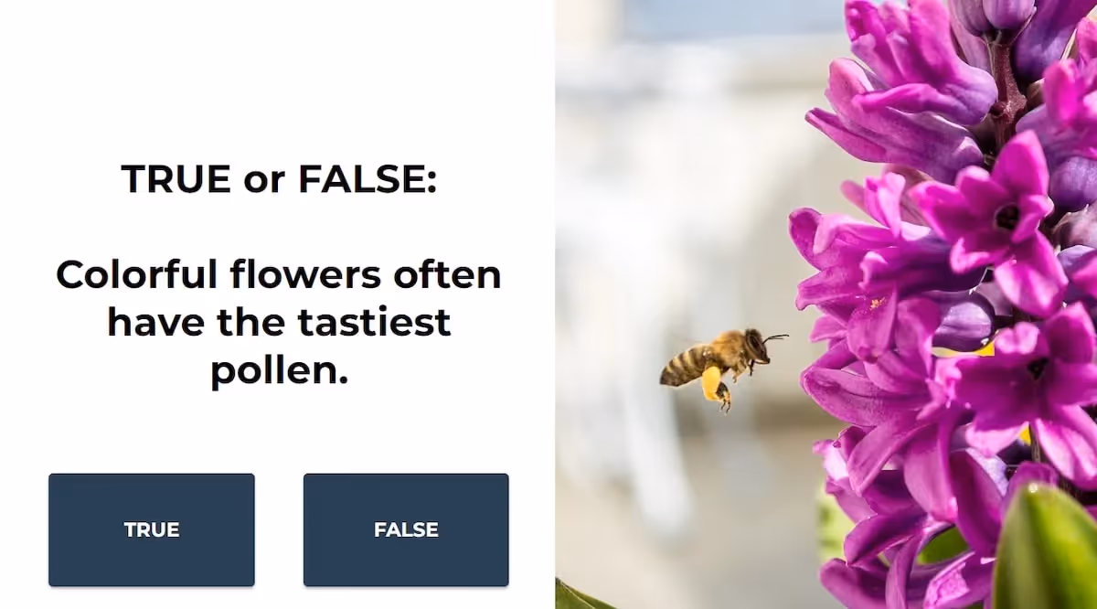 True or False