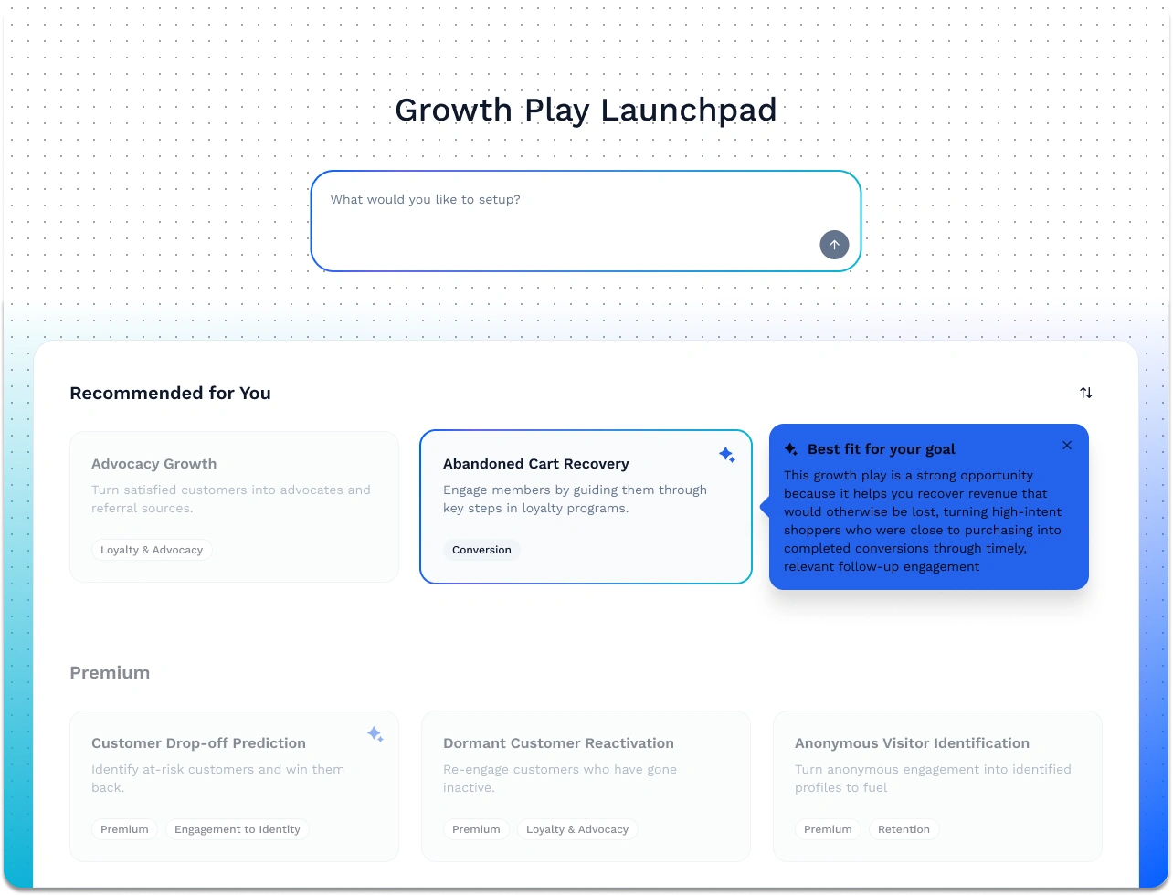 An image of the BlueConic Growth Play launchpad