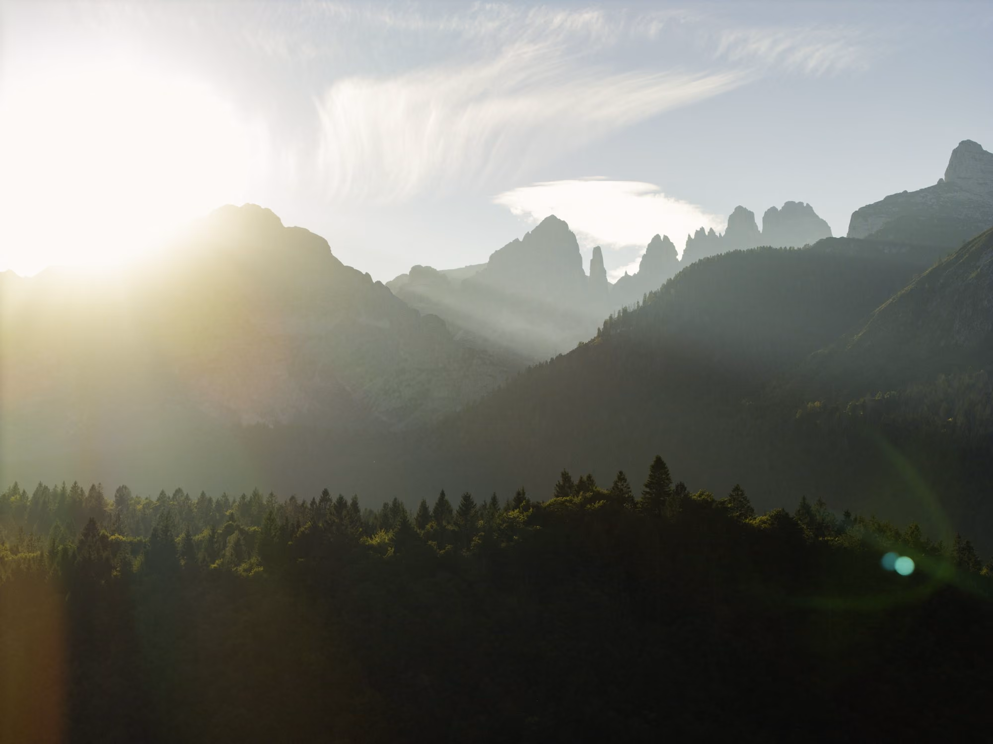 The Landscape