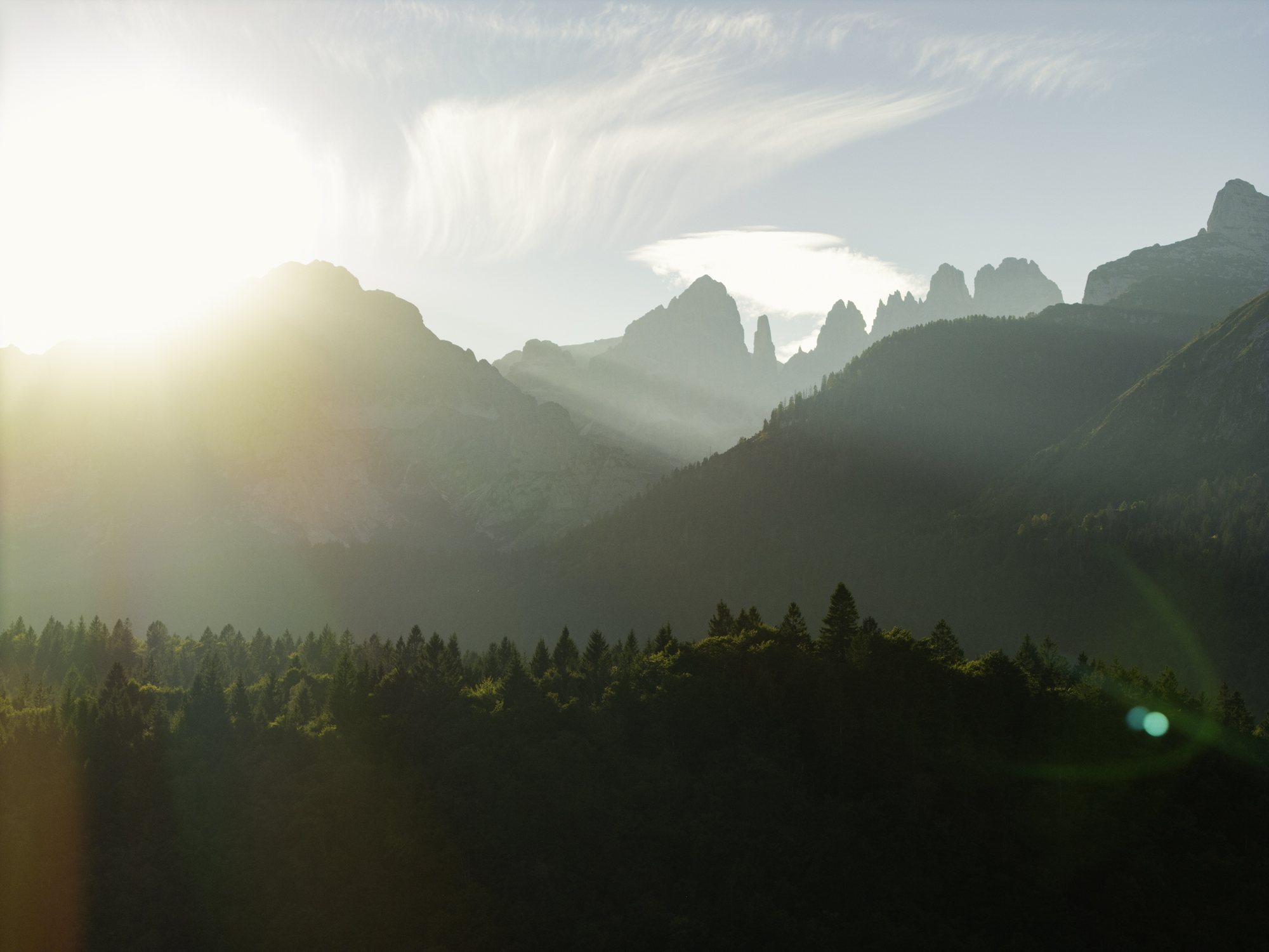 The Landscape