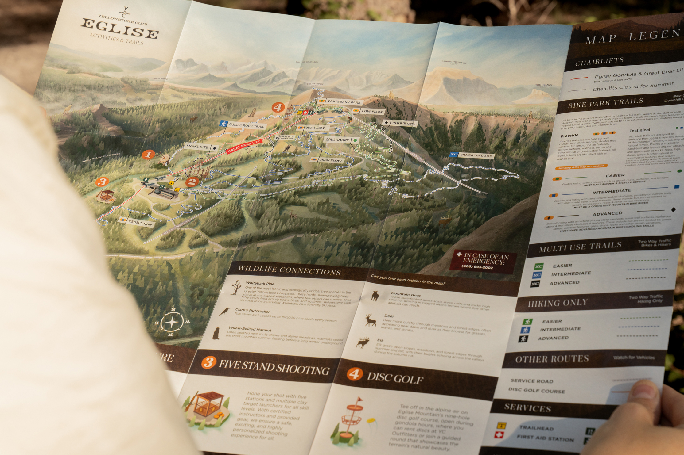 A member reading the Wildlife Connections panel on the Eglise map