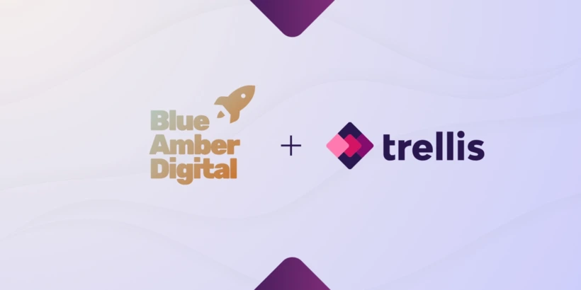 Blue Amber Digital Reduces Manual Work by 60% and Increased Profitability With Advertising Automation