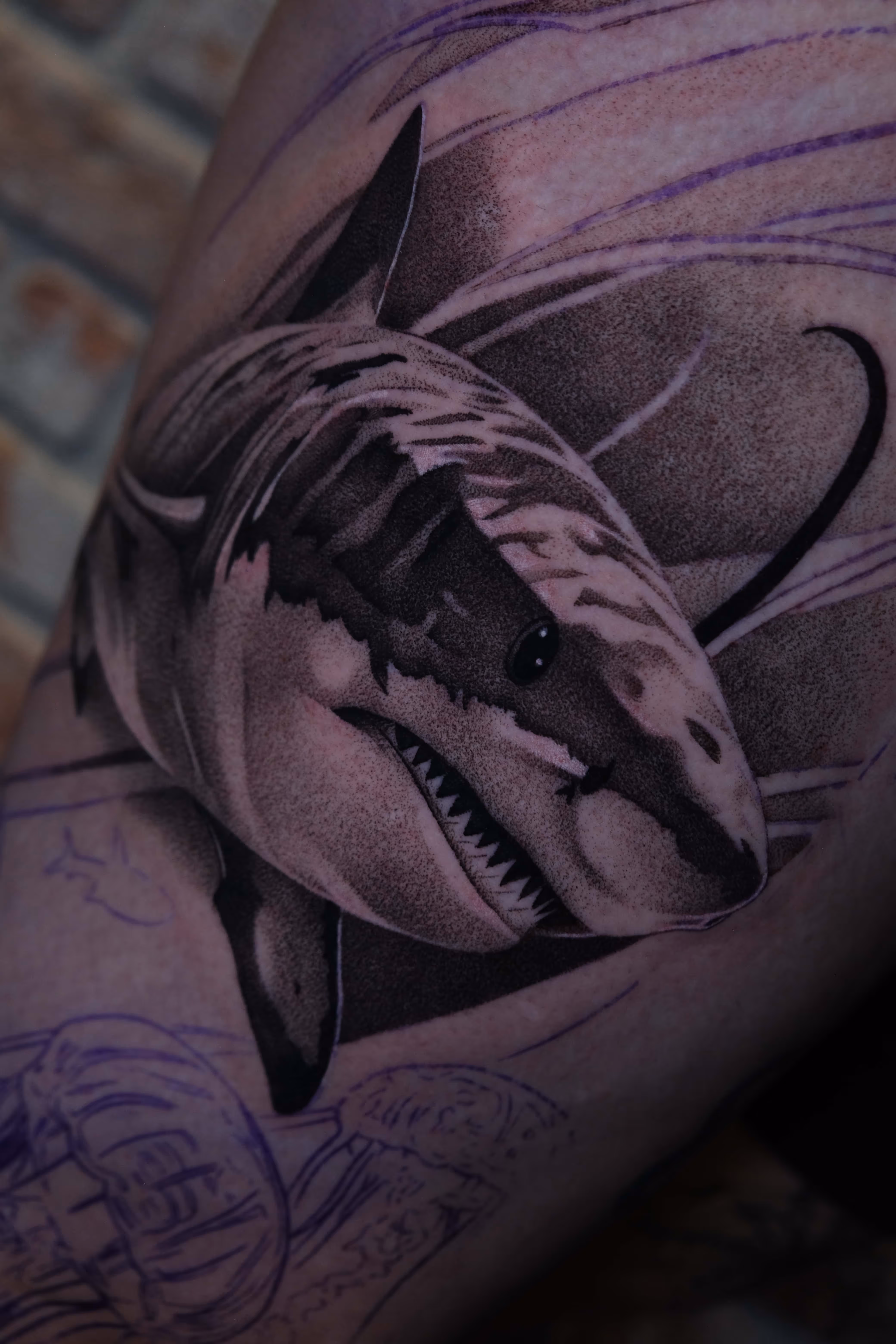 Detailed black and grey tattoo of a great white shark with open mouth, showing teeth, on skin with faint purple outlines of other sea creatures.