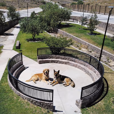 Dos perros descansan dentro de un área circular vallada en un parque con árboles y caminos pavimentados.