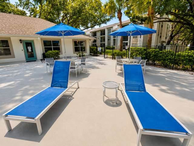 Pool deck showcasing lounge chairs and umbrellas