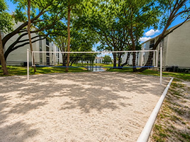 Volleyball court