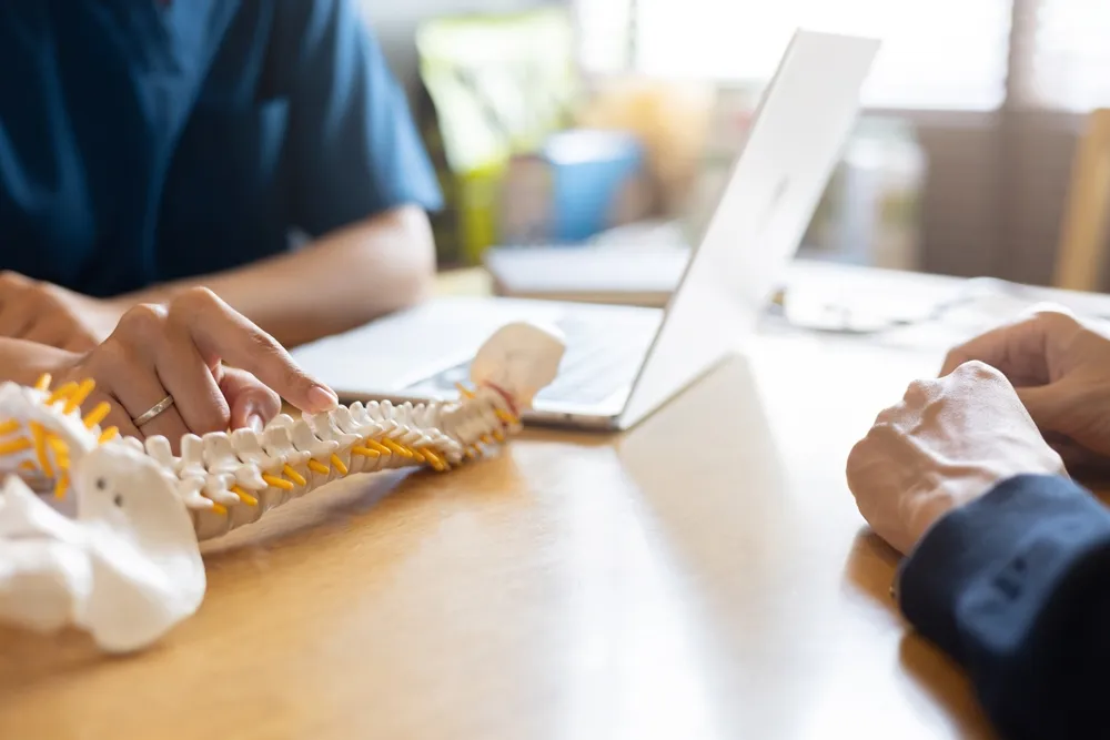close up physical therapist hand pointing on human skeleton at back to advise and consult to patient to treatment in medical clinic office for healthcare concept