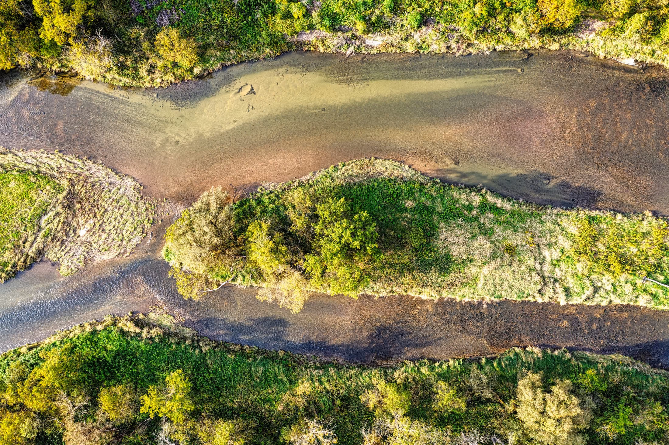 Aerial view of a winding river flowing through a green landscape with trees and grassy banks.