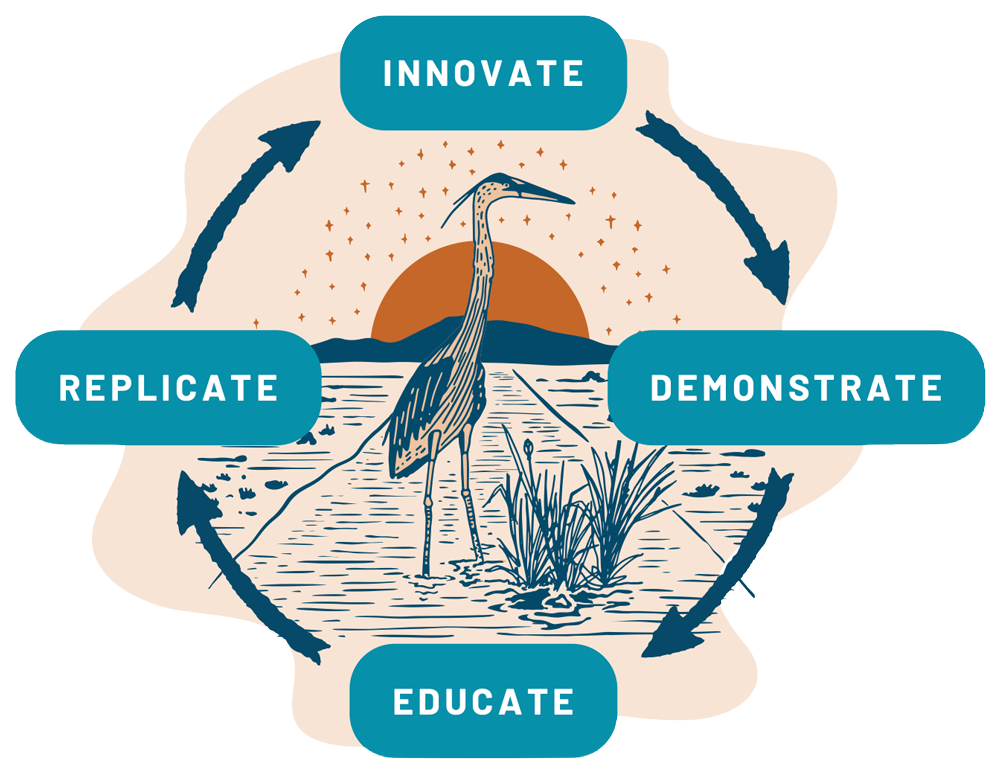 Illustration of a heron standing in water with plants and a setting sun in the background, surrounded by four teal rounded boxes connected by arrows forming a cycle with the words Innovate, Demonstrate, Educate, and Replicate.