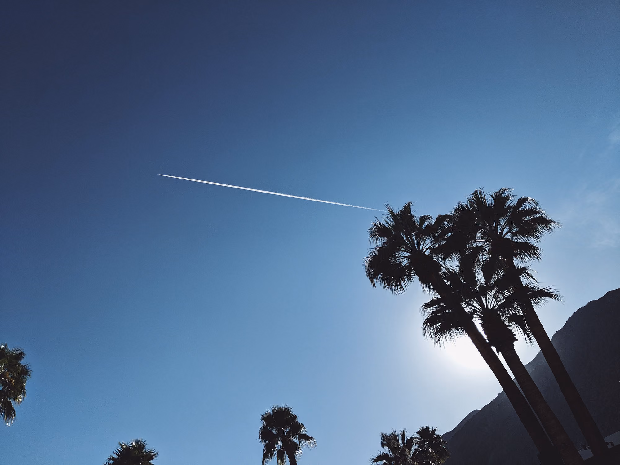 Palm trees silhouetted against a clear blue sky with a white airplane contrail across it.