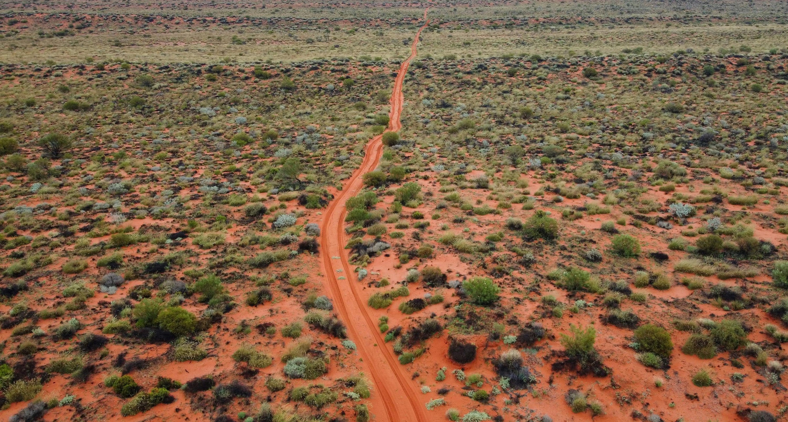 A narrow, winding dirt road stretches through a sparse desert landscape with scattered shrubs and red soil.