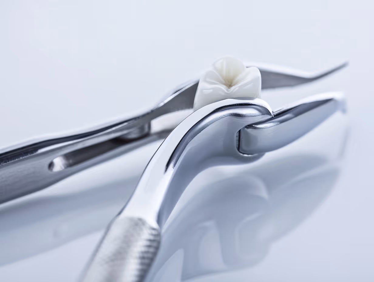 Dental extraction forceps holding a tooth on a reflective surface.