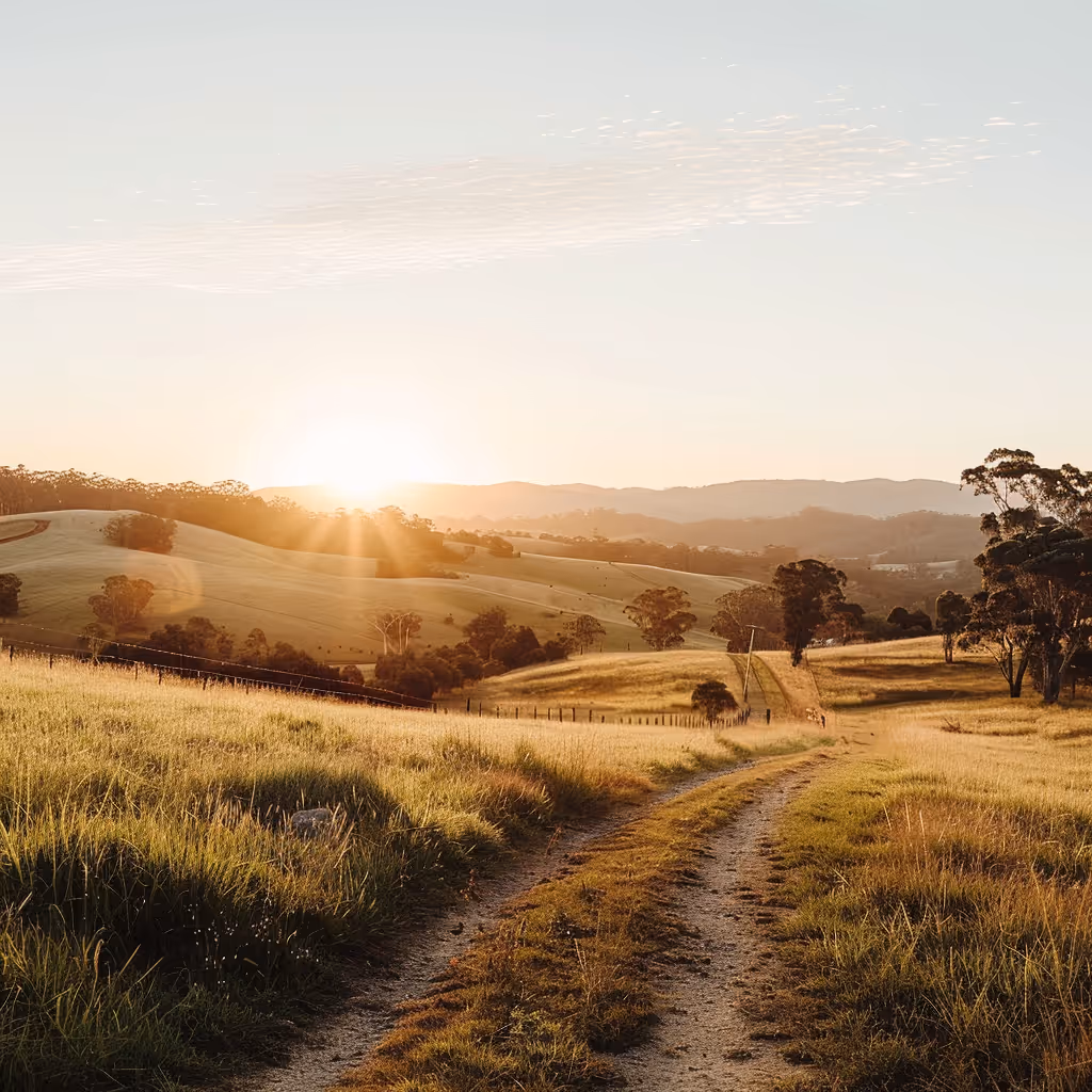 Sun setting over rolling hills with dirt path and scattered trees in golden light.
