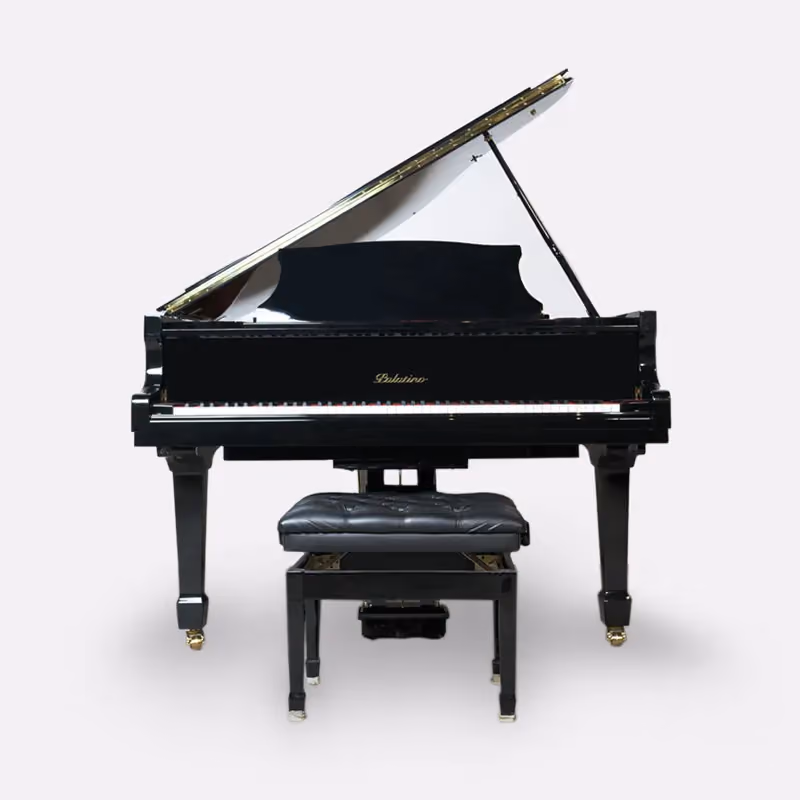 Palatino GP50