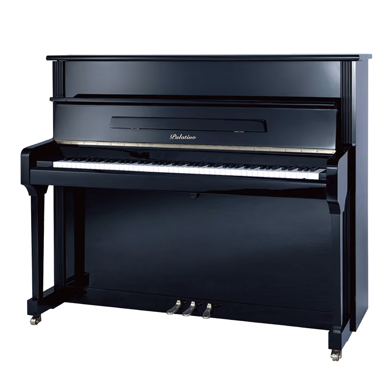 Palatino S25BR