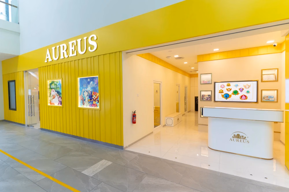 AMK Hub