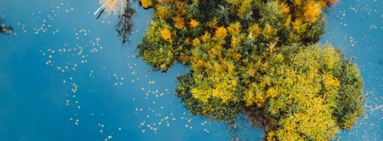 Imagen de hero para la seccion sostenibilidad, naturaleza