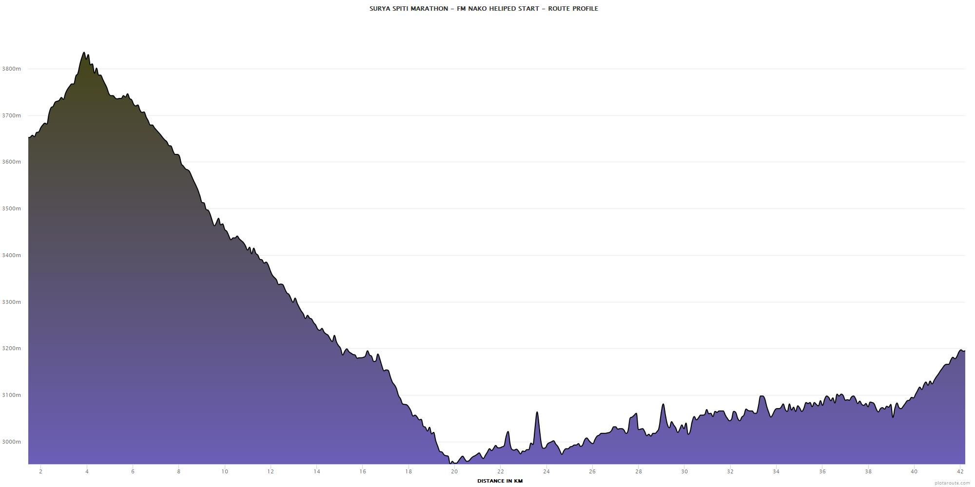 Elevation profile chart showing ascent and descent of marathon route over 42 km distance