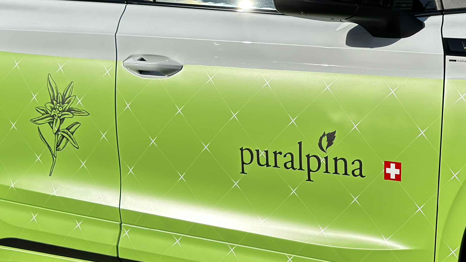 Hier wird ein geplottetes Folienlogo gezeigt, welches auf einem Fahrzeug auf eine gedruckte Werbefolie appliziert wurde. Produziert und montiert von DESIGNreich.