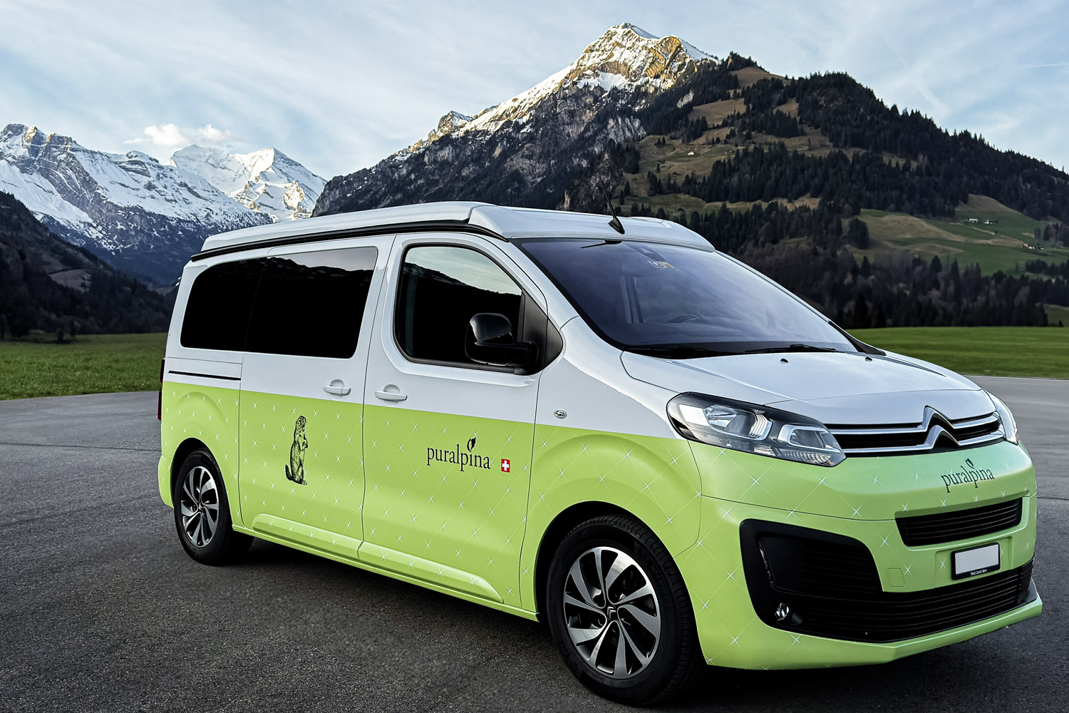 Autobeschriftung Puralpina