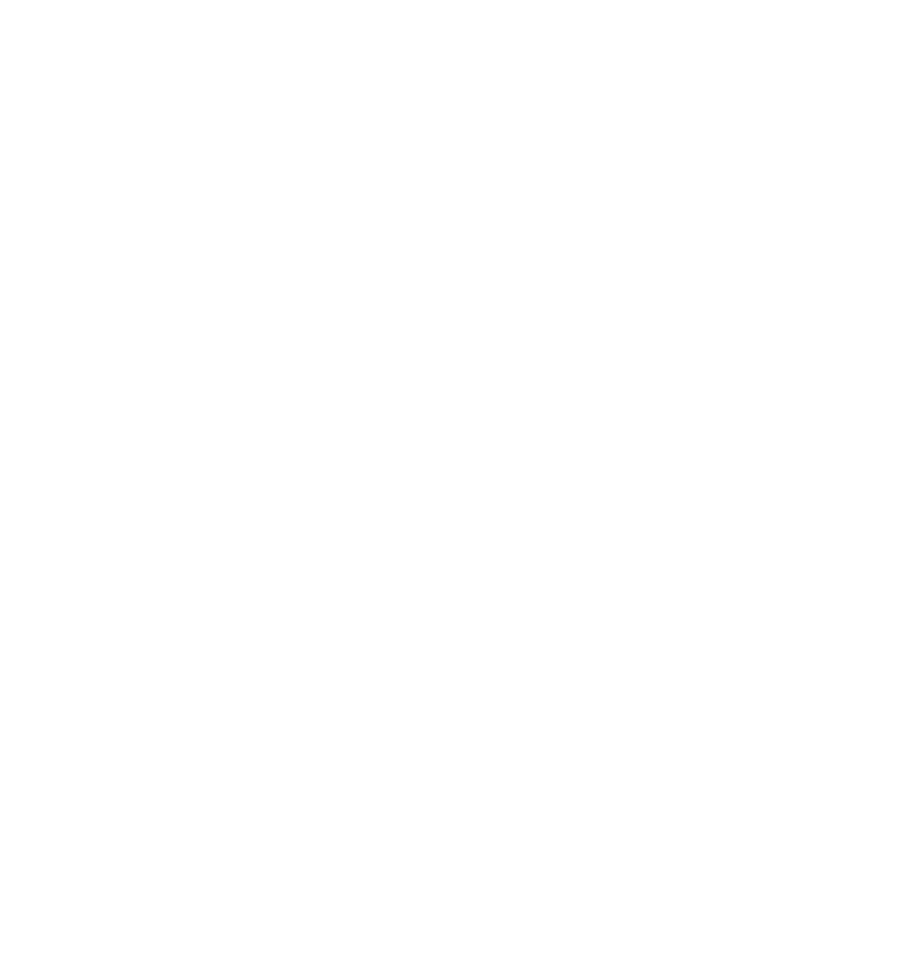 bajnova-logo-white