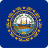 New Hampshire state flag