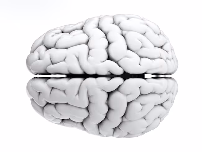 Slow processing speed is related to working memory capacity