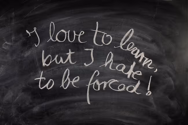Try a self-directed learning program to motivate students