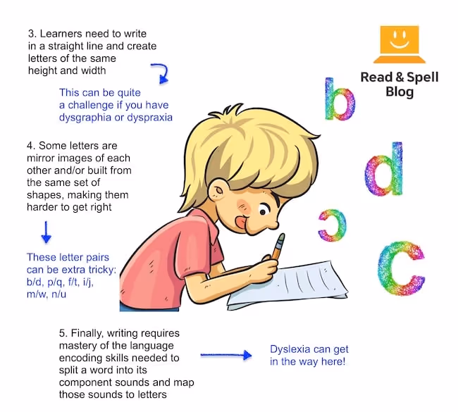 More on how dyslexia can affect letter reversals