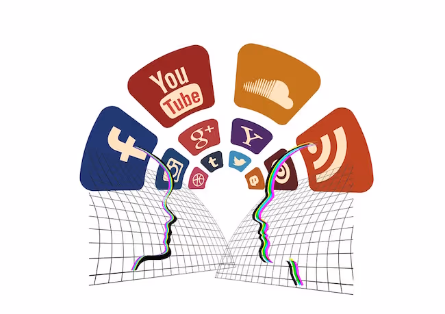 Software and social media are part of basic computer skills knowledge