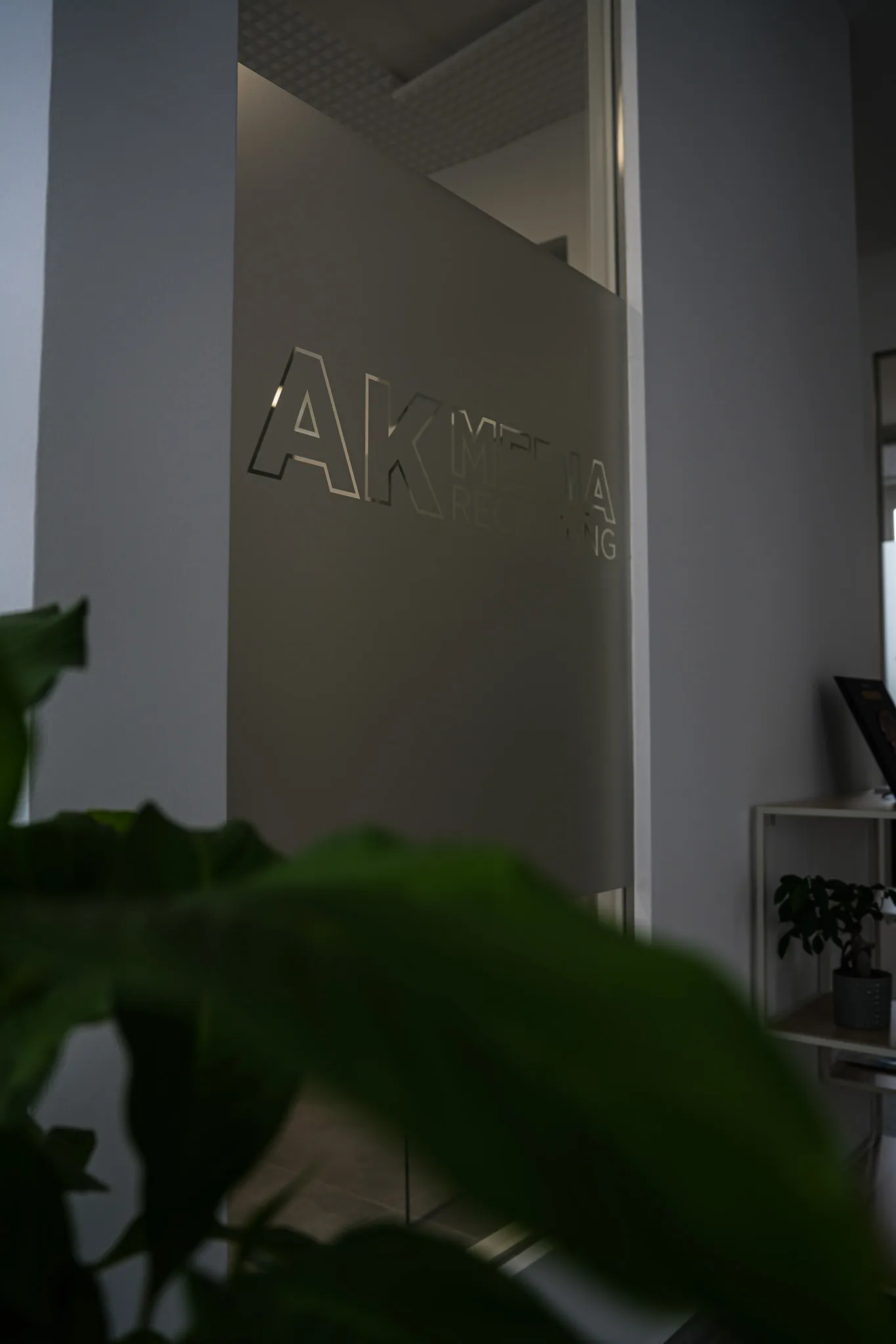 Frosted glass door partially showing the text AK Media Recording inside an office with plants.