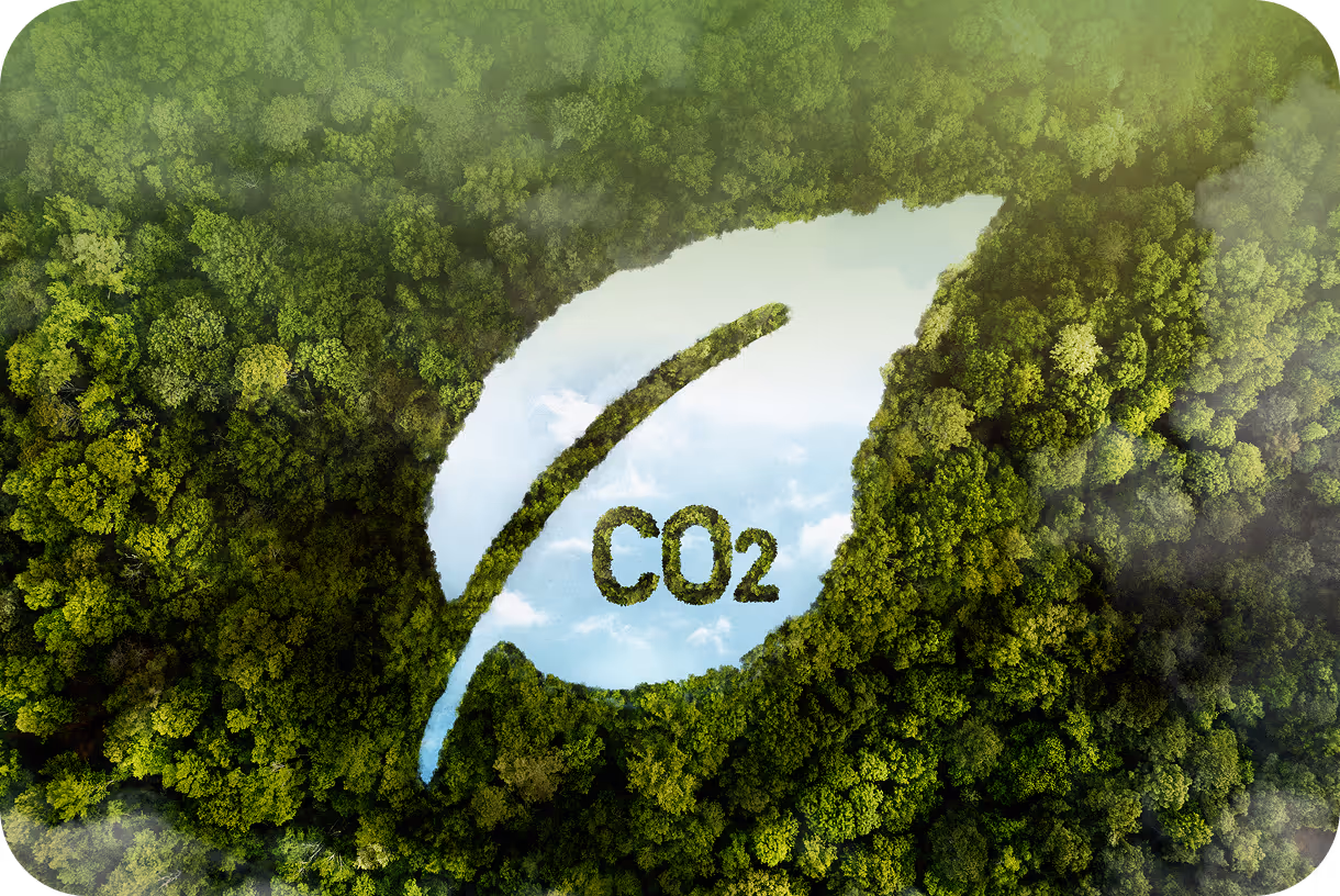 A dense green forest with a leaf-shaped clearing in the middle showing the sky, containing the text 'CO2' formed by trees.