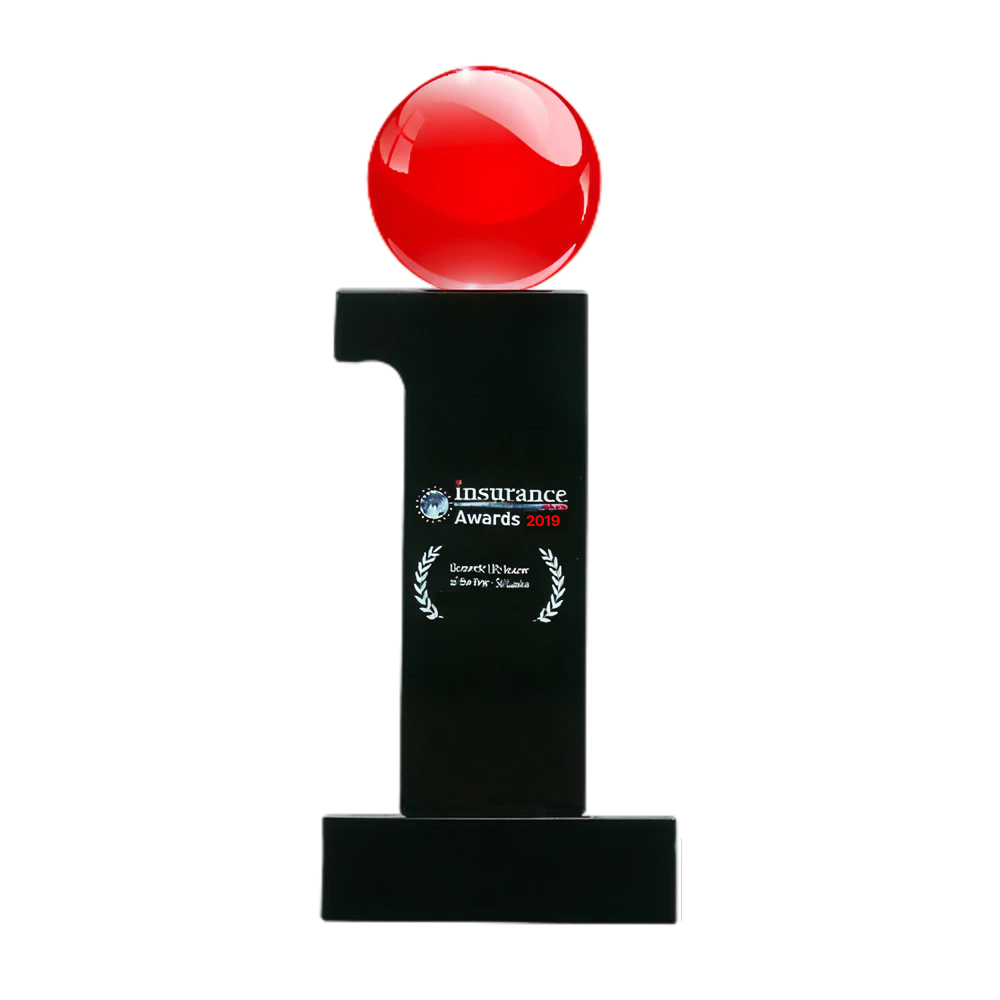 Mid-Size Direct Insurer of the Year