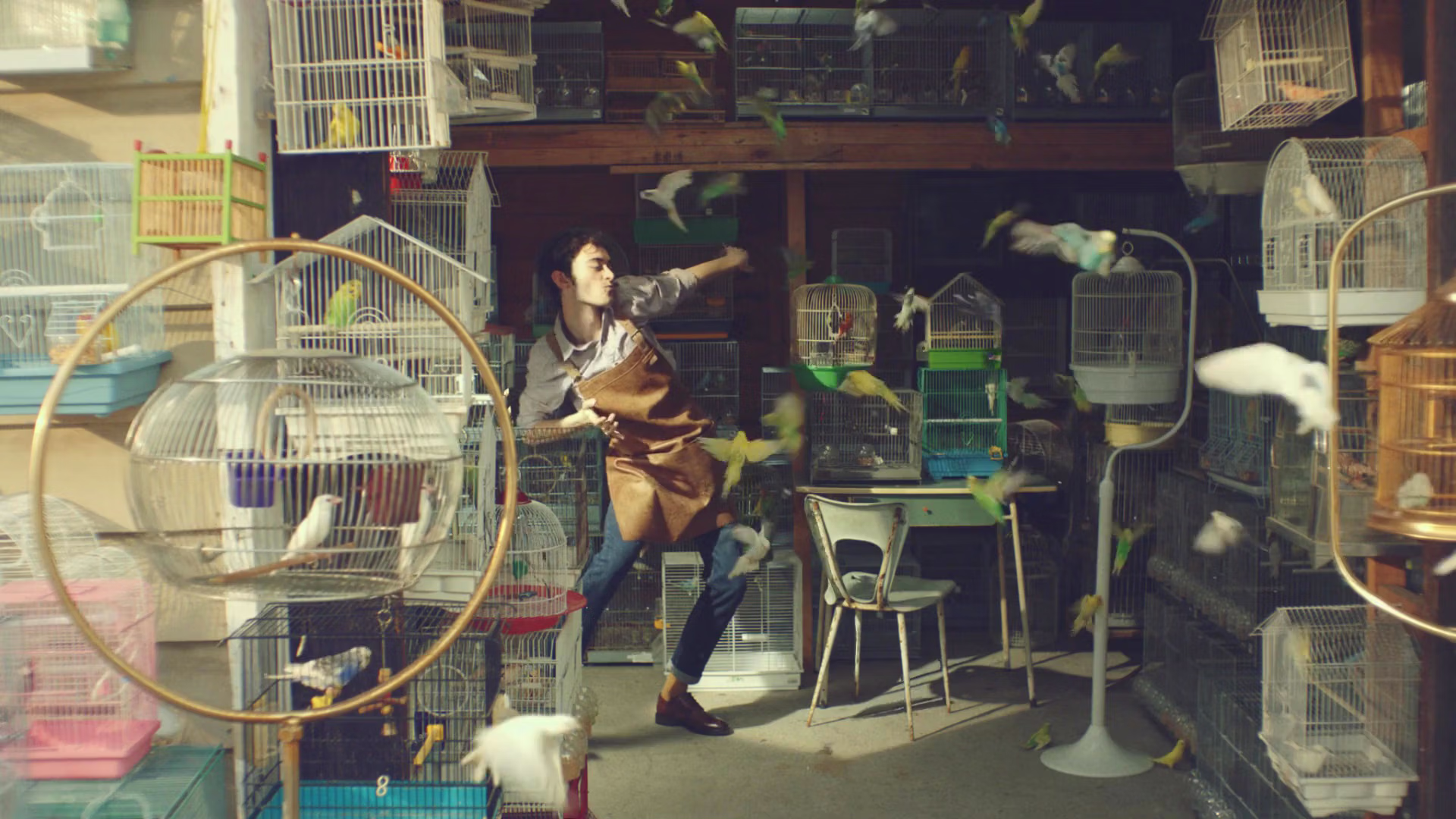 Seat Ibiza Dance campaign still