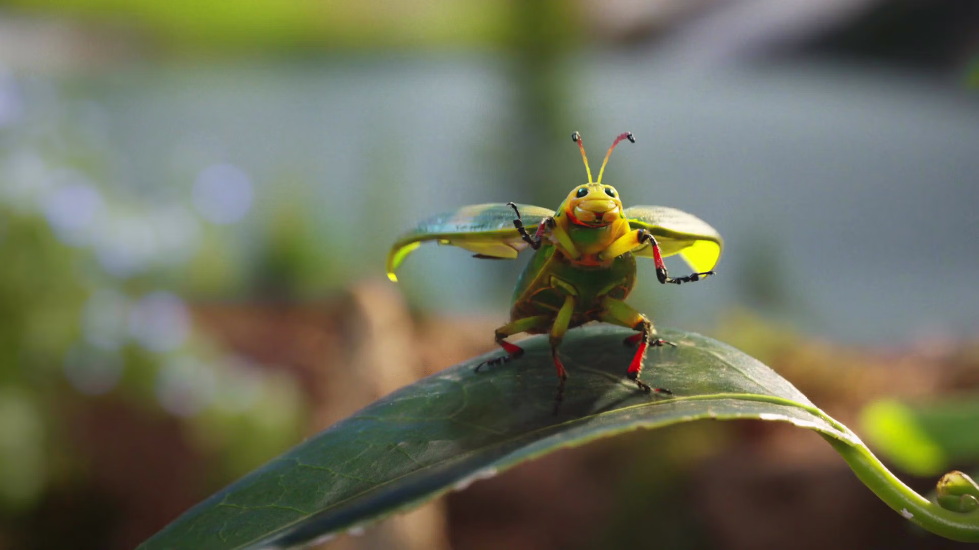 Nature's Way Nature Finds a Way campaign thumbnail