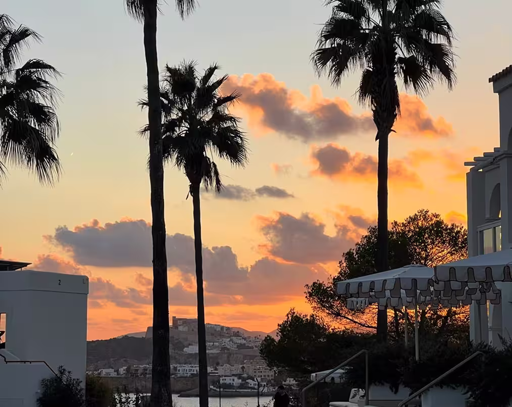 Sunset with orange clouds, silhouetted palm trees, and white buildings near a body of water.