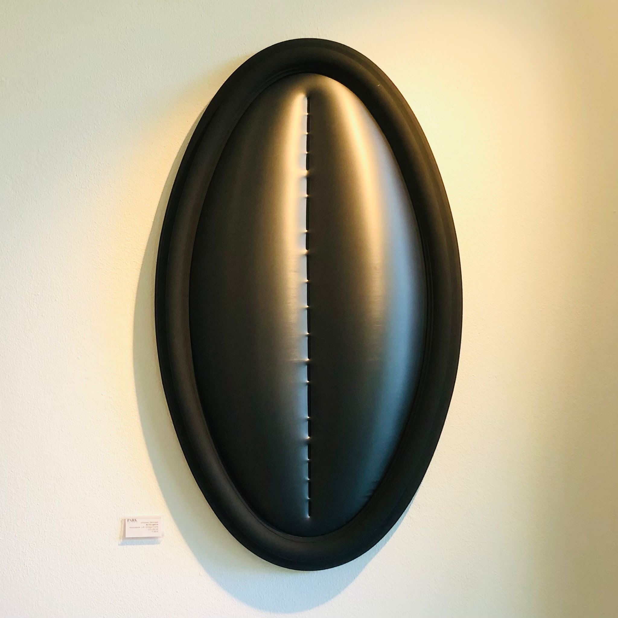 Schwarzes, ovales, aufgeblasenes Wandkunstwerk mit einer zentralen vertikalen Naht - Skulptur von Johannes Steininger in der Park Galerie Buchkirchen bei Wels von Petuscha Schopper.