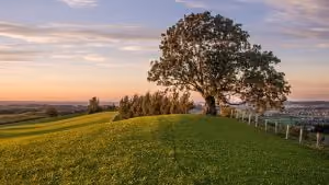 A ‘pauper’s funeral’ is a common term for what can be a respectful arrangement for someone who dies destitute and without anyone to pay for their funeral.