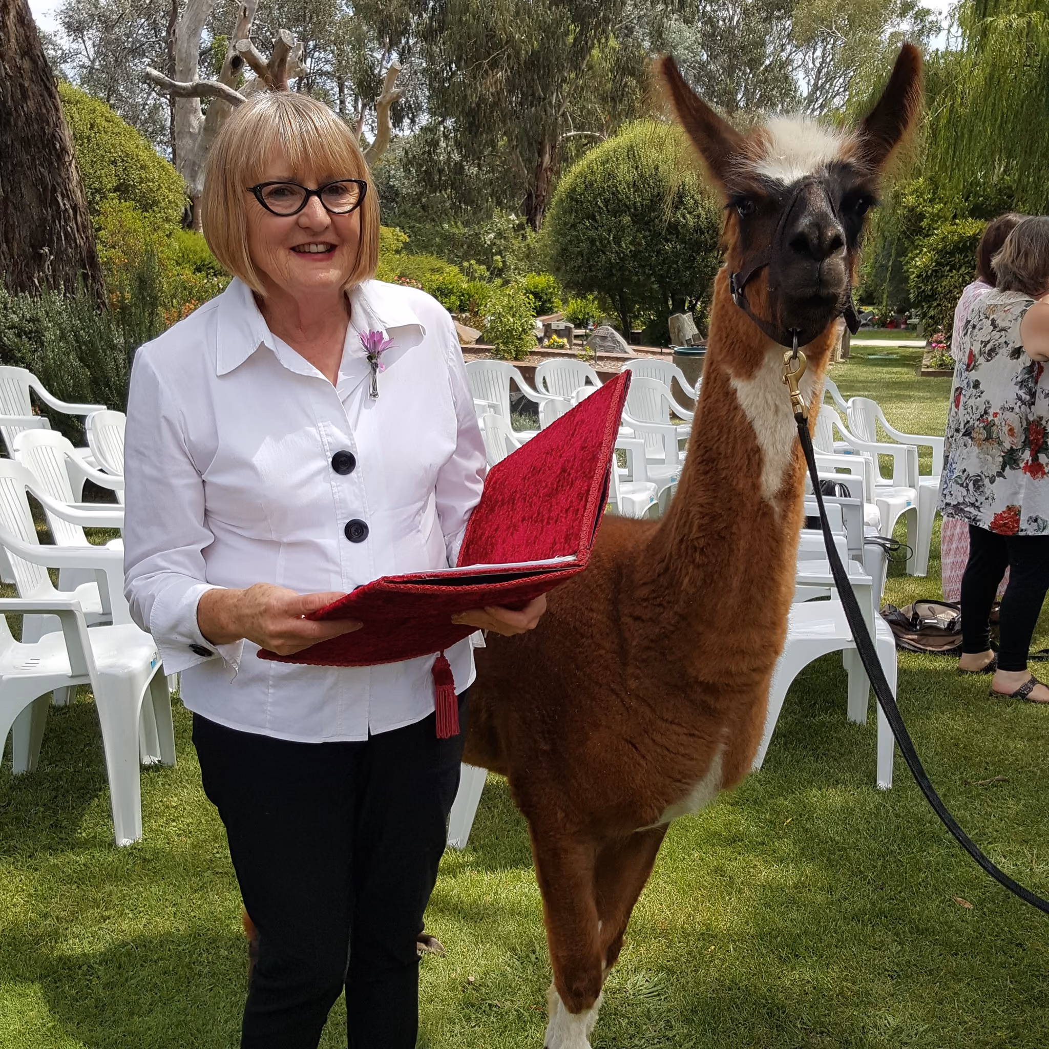 Funeral celebrant Jan Phillips conducts a memorial with a beloved llama present.