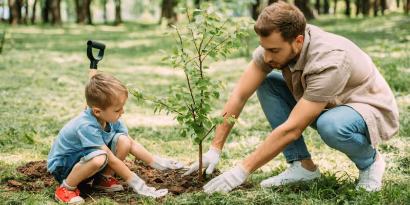A memorial tree planting ceremony that celebrates their life while creating a living memory