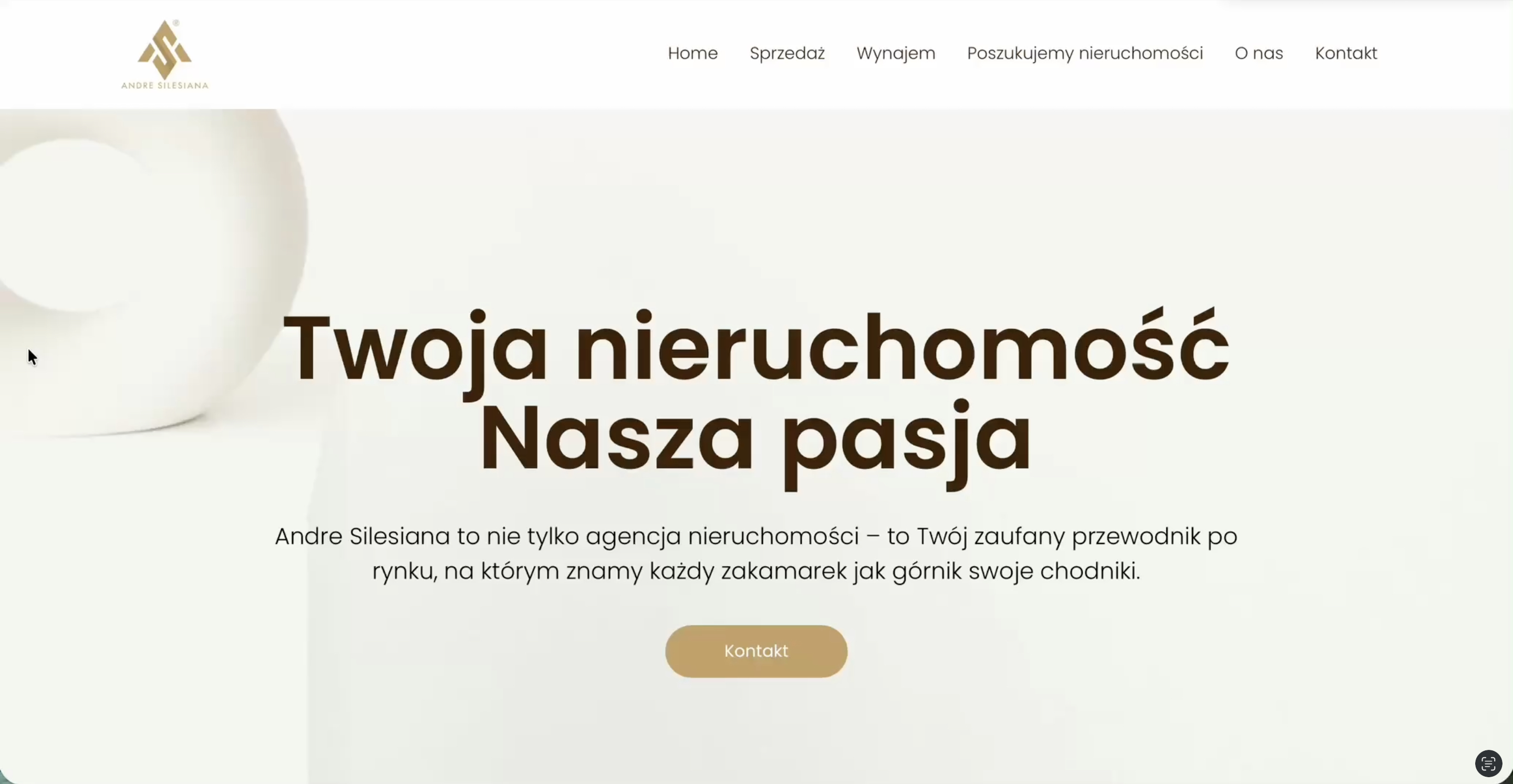page accueil site web polonais en couleur crème