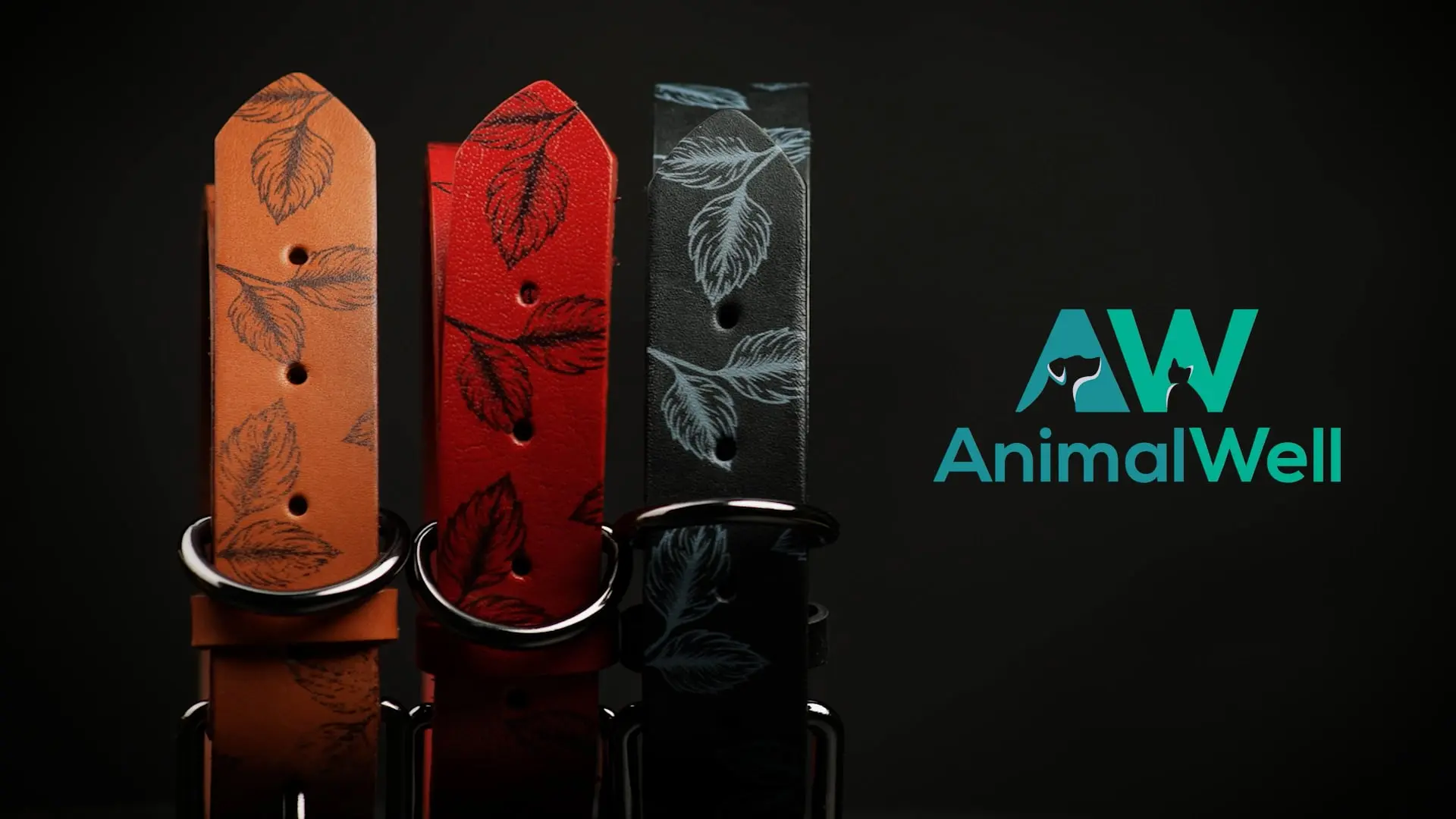 Amazon Product Videos & Full-Service Agency Strategie: Performance Marketing für E-Commerce Skalierung & Amazon Growth Synergy