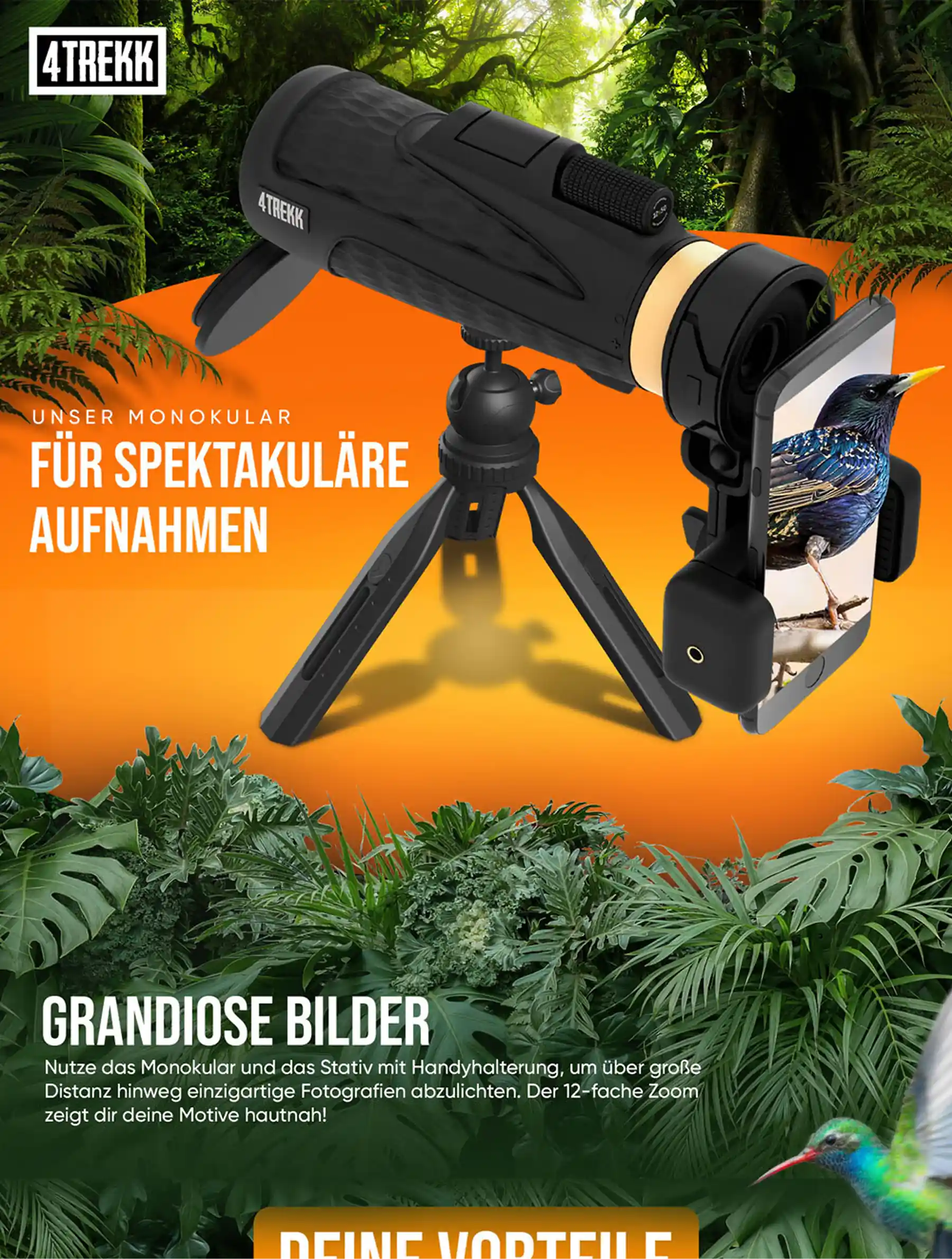 Amazon A+, SEO & Full-Service Agency Strategie: Performance Marketing für E-Commerce Skalierung & Amazon Growth Synergy Effekt.